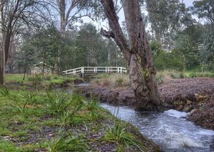 Botanical Gardens - Barkers Creek