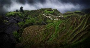 Longi Terraces, Longshen, China 2006