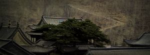 Temple Rooftops, Wutai Shan, China 2006