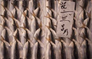 Tsukiji Fish Market 1, Tokyo, Japan 2006