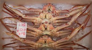 Tsukiji Fish Market 2, Tokyo, Japan 2006