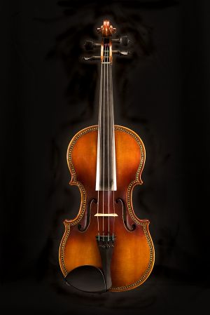 Violin by Paul Davies 2008