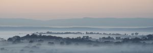 Hunter Valley at Dawn 2012